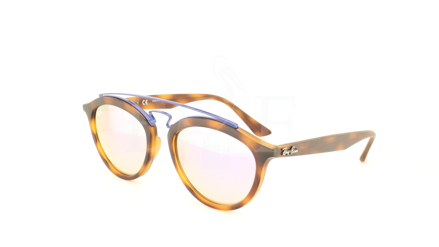 NEW GATSBY II (RB4257 6266B0)